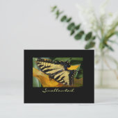 Briefkaart van de biefstaart (Staand voorkant)