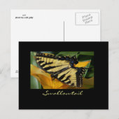 Briefkaart van de biefstaart (Voorkant / Achterkant)