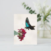 Briefkaart van de blauw-moerasstaartvlinder (Staand voorkant)