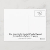 Briefkaart van de blauw-moerasstaartvlinder (Achterkant)