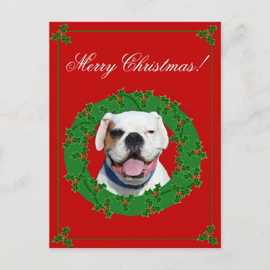 Briefkaart van de Bokser van Kerstmis het Witte (Voorkant)