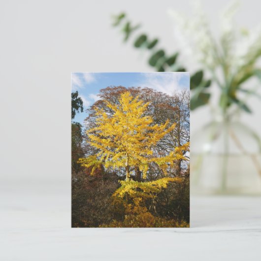 Briefkaart van de Boom Ginkgo Biloba (Staand voorkant)
