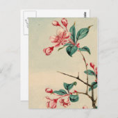 Briefkaart van de boombloesems (Voorkant / Achterkant)