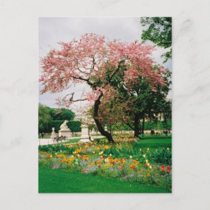 Briefkaart van de Carrouseltuinen