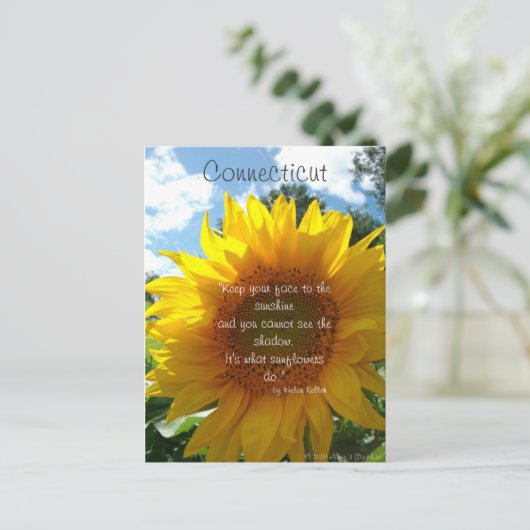 Briefkaart van de Connecticut Sunflower (Staand voorkant)