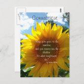 Briefkaart van de Connecticut Sunflower (Voorkant / Achterkant)