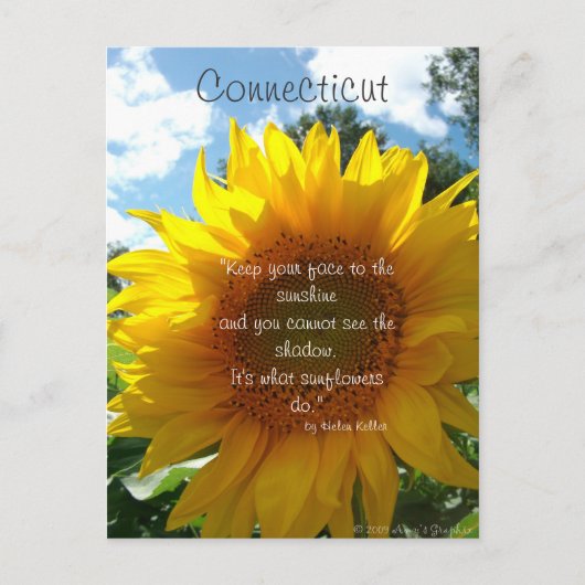 Briefkaart van de Connecticut Sunflower (Voorkant)