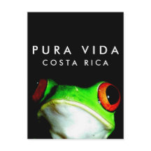 Briefkaart van de Costa Rica Pura Vida-boom