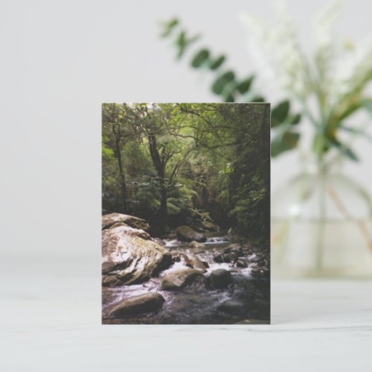 Briefkaart van de Costa Ricaanse regenwouden (Staand voorkant)