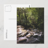 Briefkaart van de Costa Ricaanse regenwouden (Voorkant / Achterkant)