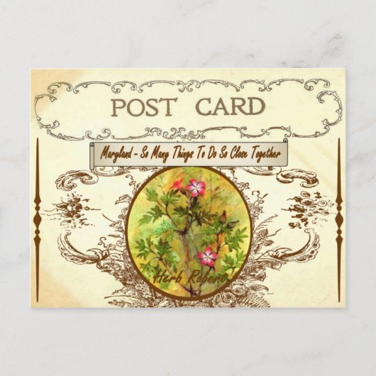Briefkaart van de deelstaat Maryland (Voorkant)