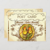  Briefkaart van de deelstaat Minnesota (Voorkant / Achterkant)