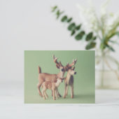 Briefkaart van de Deer Family (Staand voorkant)