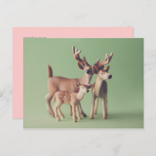 Briefkaart van de Deer Family (Voorkant / Achterkant)