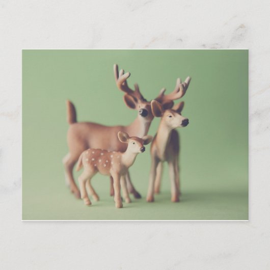 Briefkaart van de Deer Family (Voorkant)