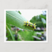 Briefkaart van de derde pijler (Voorkant)