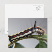 Briefkaart van de derde pijler (Voorkant / Achterkant)