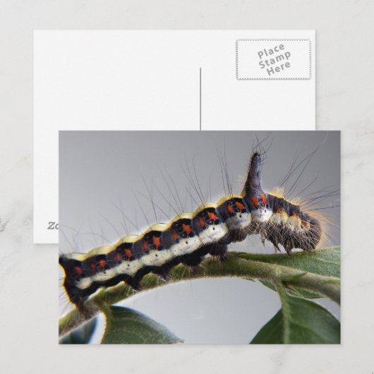 Briefkaart van de derde pijler (Voorkant / Achterkant)