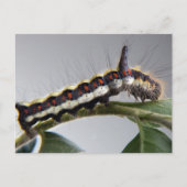 Briefkaart van de derde pijler (Voorkant)