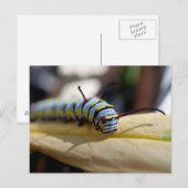 Briefkaart van de derde pijler (Voorkant / Achterkant)