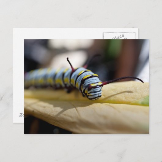 Briefkaart van de derde pijler (Voorkant / Achterkant)