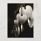 Briefkaart van de diasthoudende kunsten (B&W) (Voorkant)