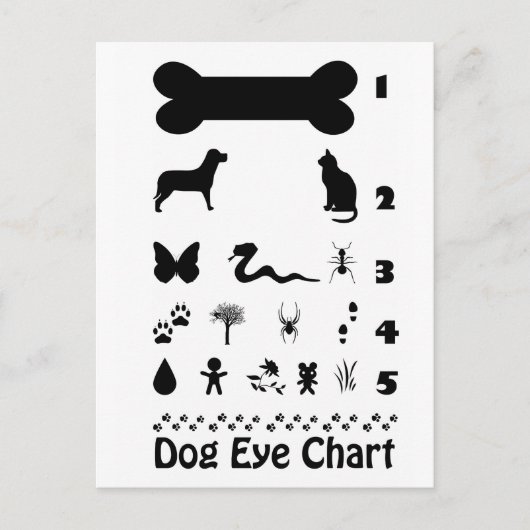 Briefkaart van de Dog Eye Chart (Voorkant)