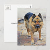 Briefkaart van de Duitse herdershond (Voorkant / Achterkant)