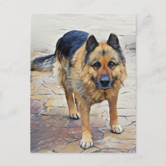 Briefkaart van de Duitse herdershond (Voorkant)