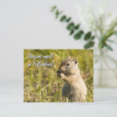Briefkaart van de eekhoorn op de grond, aangepaste (Staand voorkant)