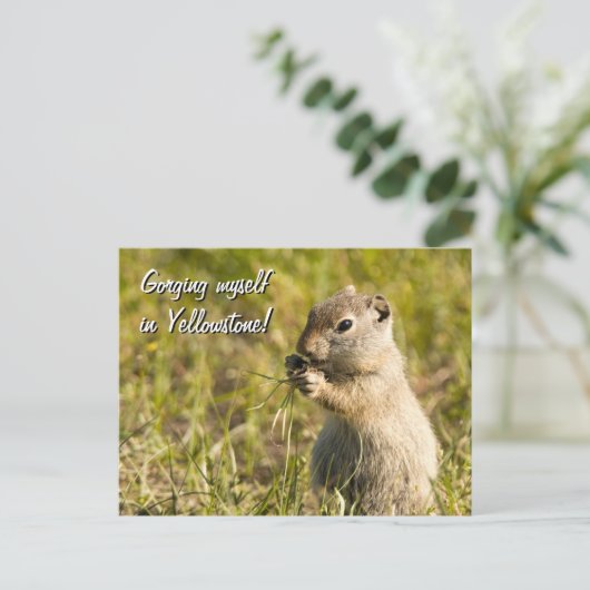 Briefkaart van de eekhoorn op de grond, aangepaste (Staand voorkant)