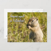 Briefkaart van de eekhoorn op de grond, aangepaste (Voorkant / Achterkant)