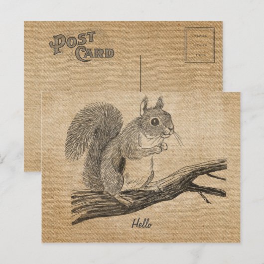 Briefkaart van de  eekhoorn van Burlap (Voorkant / Achterkant)