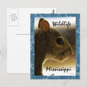 Briefkaart van de Eekhoorn van de Mississippi van (Voorkant / Achterkant)