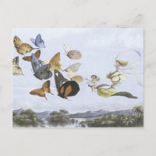  Briefkaart van de Faerie