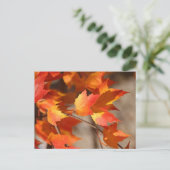 Briefkaart van de Falling Reds (Staand voorkant)