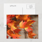 Briefkaart van de Falling Reds (Voorkant / Achterkant)