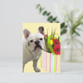 Briefkaart van de Franse Bulldog (Staand voorkant)