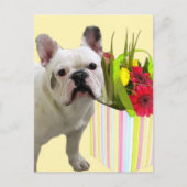 Briefkaart van de Franse Bulldog (Voorkant)
