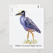 Briefkaart van de geelbruine nachtharon (Voorkant / Achterkant)