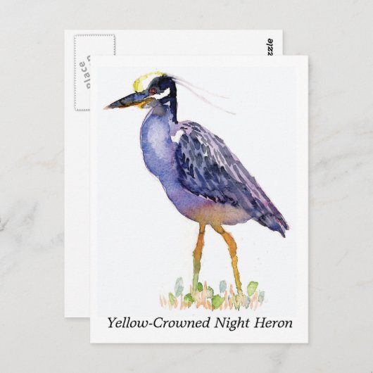 Briefkaart van de geelbruine nachtharon (Voorkant / Achterkant)