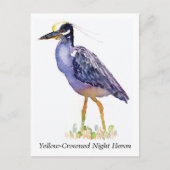 Briefkaart van de geelbruine nachtharon (Voorkant)