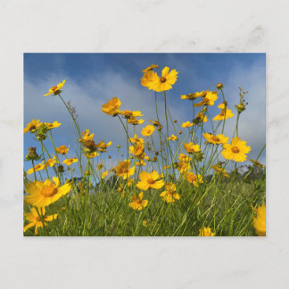 Briefkaart van de gele bloemen