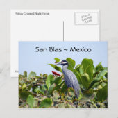 Briefkaart van de Gele Crowned Night Heron (Voorkant / Achterkant)