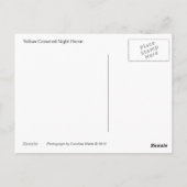 Briefkaart van de Gele Crowned Night Heron (Achterkant)