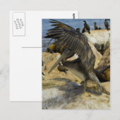 Briefkaart van de Golving Pelican (Voorkant / Achterkant)