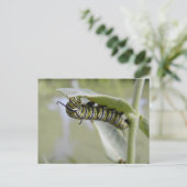 Briefkaart van de goudzige staartvlinder (Staand voorkant)