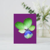 Briefkaart van de groene en blauwe Pansy (Staand voorkant)