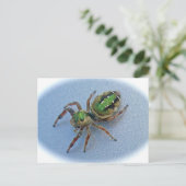 Briefkaart van de groene spin (Salticidae) (Staand voorkant)
