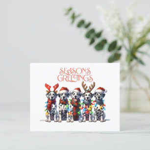 BRIEFKAART VAN DE GROETEN VAN HET SEIZOEN